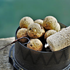 Collection image for: Karpfenangeln