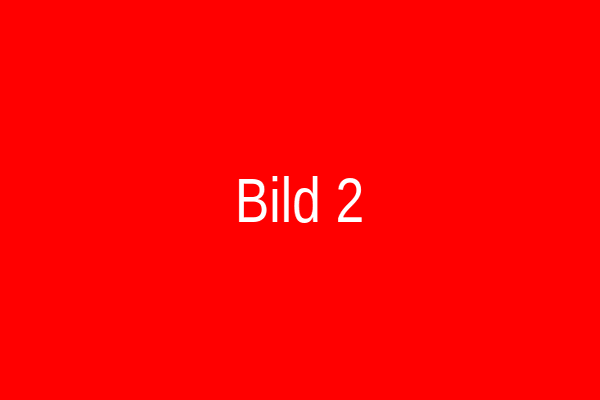 NEU#2 Meta Data Test